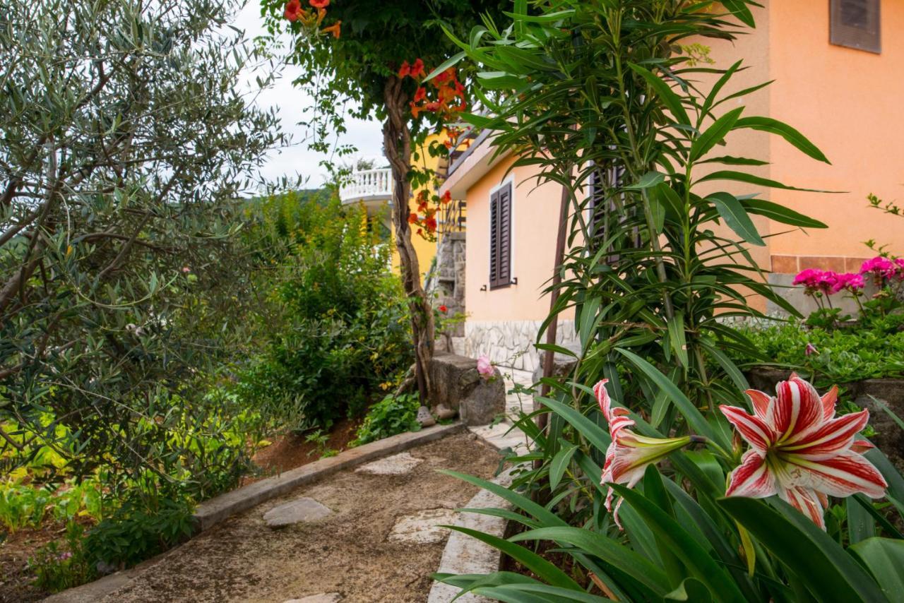 Apartment Alba Medveja Exterior photo